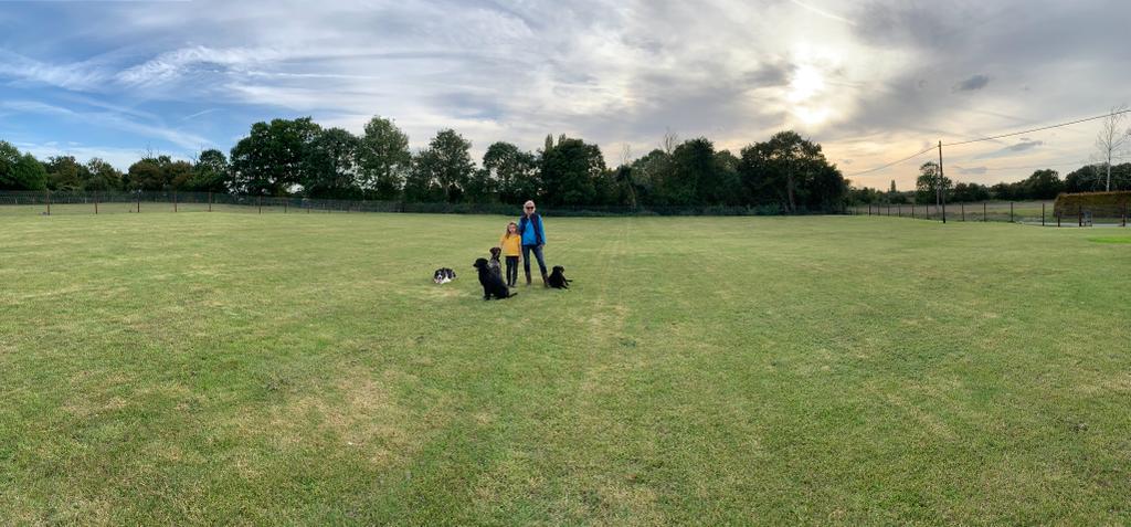 Oakley's Meadow